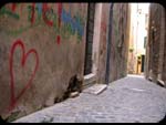 Cuore