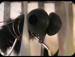 Mosca