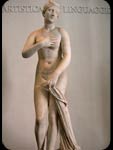 Venere