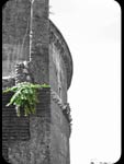 Il Pantheon