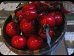 Frutta