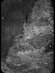 Acqua
