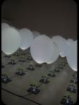 Installazione