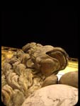 Leone di notte