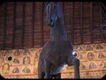 il Cavallo di legno