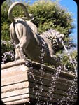 Acqua