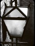 Luce
