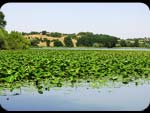 lago e verde