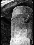 Legno