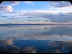 Riflessi
