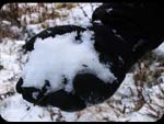 Neve