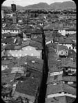 Lucca