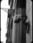 Cappeliera
